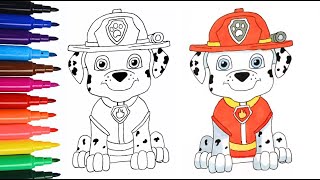 How to Draw Marshall from Paw Patrol [upl. by Sral250]