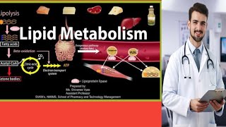 lipid and Phospholipd about mcqs for mdcat best preperation and repeated mcqs [upl. by Nev]