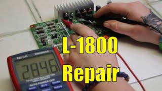 Avoid Costly Repairs Epson L1800 Mainboard Testing Tips [upl. by Itisahc710]