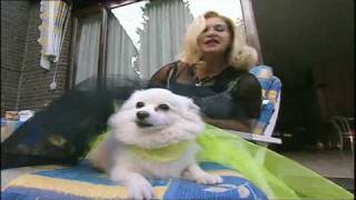 Man bijt hond Dutch Madonna [upl. by Feledy]