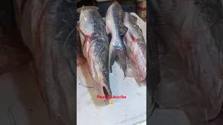 Fresh Singhara Fish available in Meerut fish market shorts fishmarket fishcutting catfish [upl. by Adliw]