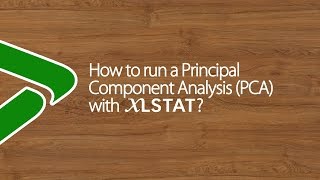 How to run a Principal Component Analysis PCA with XLSTAT [upl. by Amikan]