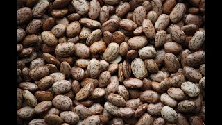 Pinto Beans 101  Nutrition and Health Benefits [upl. by Gwendolin]