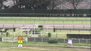 2011年9月25日 中山4R 障害オープン ジャストルーラー [upl. by Ahsien]