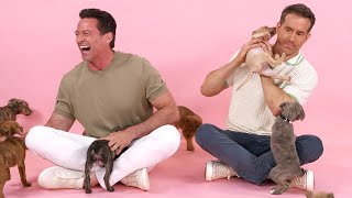 Ryan Reynolds and Hugh Jackman The Puppy Interview [upl. by Haydon]