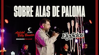 Sobre Alas de Paloma  Billy Bunster En Vivo  CCINTMUSIC [upl. by Deth]