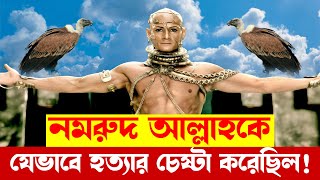 আল্লাহকে হত্যার জন্য নমরুদ কীভাবে আকাশে উঠেছিল মশা নমরুদের মাথায় ডুকে কি দেখতে পেল [upl. by Ianteen]