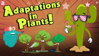 Adaptations In Plants  What Is ADAPTATION  The Dr Binocs Show  Peekaboo Kidz [upl. by Gala]