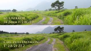 Carl Zeiss Distagon T28 21 ZF 2 vs FOUR LENSES （Nikon Voigtlander Olympus） [upl. by Cresa]