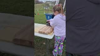 Caralee sanding a wooden board on November 15 2024 [upl. by Adnahsal962]