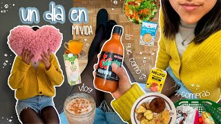 Lo que como en un día compras del supermercado rutina en casa y más  VLOG  Alessandra Ccora [upl. by Anivek175]