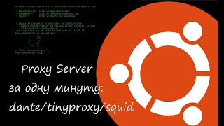 Proxy server за одну хвилину dantetinyproxysquid [upl. by Kyre]