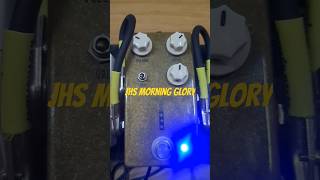 JHS Morning Glory overdrive e demo electricguitar guitarist guitar guitarpedals guitareffects [upl. by Radloff207]