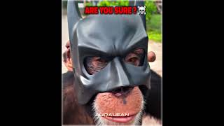 Best Batman Cosplay Moments☠️☠️ [upl. by Llednahs250]