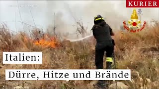 Hitzewelle in Italien Waldbrände und Trockenheit bedrohen Menschen und Ernte [upl. by Sisco]