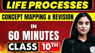 Life processes in 60 Minutes  Science Chapter 5  Class 10th CBSE Board [upl. by Atnohs]