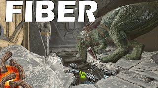 ARK But its a 10000X FIBERCRAFT and We Raid Center Pearl Cave  Ark PvP [upl. by Wolram]