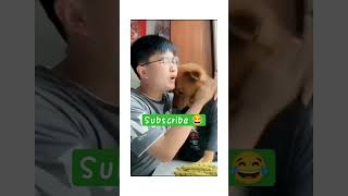 When Dogs Talk Hilarious Dubbing That Will Make You LOL [upl. by Gunning]