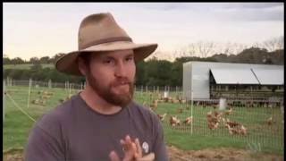 Pastured Egg Farming Landline Australia [upl. by Notrub127]