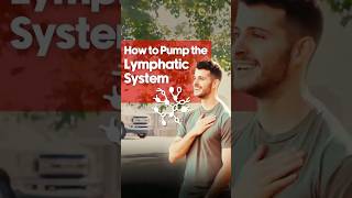 How to Pump the Lymphatic System [upl. by Ardni]