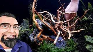 120 Gallon Aquarium Aquascape [upl. by Mikey]