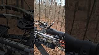 Another Barnett crossbow malfunction deercamp deerhunting archeryhunting [upl. by Dino]