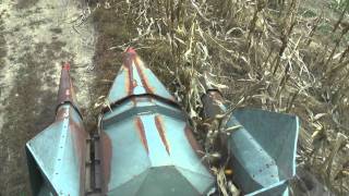 Gleaner Model K Combine with 2 row corn head in HD [upl. by Ateloiv]