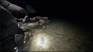 Millerton Lake Ca  Catfish Fishing [upl. by Aiki]