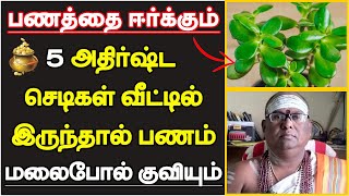 பணத்தை ஈர்க்கும் 5 அதிர்ஷ்ட செடிகள் வீட்டில் இருந்தால் பணம் மலைபோல் குவியும்  lucky plants tamil [upl. by Elleivad139]