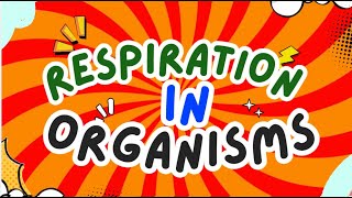 Respiration in Organisms  How Animals amp Plants Breathe  Class 7 Science [upl. by Gavrilla]