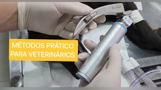 PASSAGEM DE TUBO ENDOTRAQUEAL [upl. by Feldstein394]