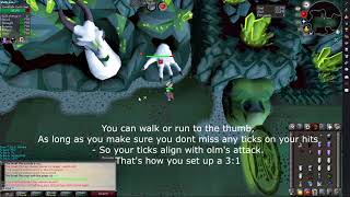 Solo raids  Olm melee hand 31 amp 41 [upl. by Anuhsal]