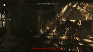 Hunt Showdown  30 seconds of screaming internally [upl. by Yedorb]