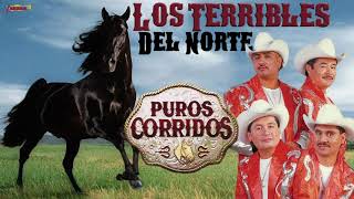 Los Terribles Del Norte  Puros Corridos Playlist Oficial [upl. by Sartin]