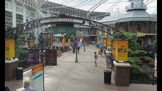 Exploring the Gaylord Opryland Hotel in Nashville Tennessee 2018 [upl. by Smitt942]