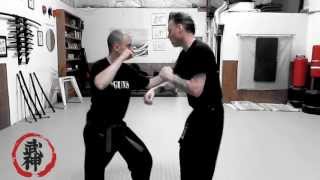 BUJINKAN KIHON HAPPO [upl. by Trisa]