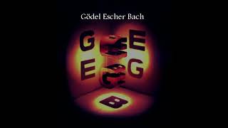 Unlocking Genius The 5 Minute Summary of Gödel Escher Bach [upl. by Ailemac743]