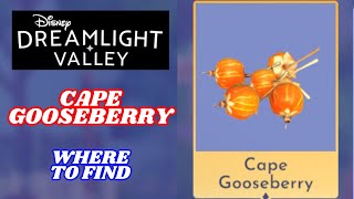 Cape Gooseberry Where to find  Disney Dreamlight Valley [upl. by Inot201]