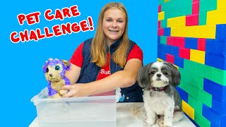 Wiggles and Waggles Pet Care Challenge with the Assistant [upl. by Sedgewick]