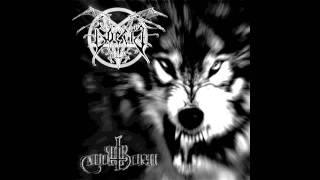 Goetia quotWolfthornquot  Black Metal [upl. by Brandais]