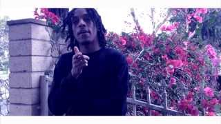 Chris Travis  Red Roses Official Music Video [upl. by Ecirtael112]