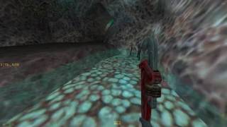 HalfLife Hunt The Cunt Speedrun 652 [upl. by Laddy]