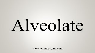 How To Say Alveolate [upl. by Zicarelli]