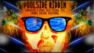 POOLSIDE RIDDIM 2012 MIX [upl. by Ezarras24]