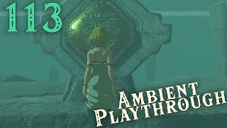 LoZ TotK Ambient 113  Ancient Riddles Leading Us To Zelda [upl. by Eedya]