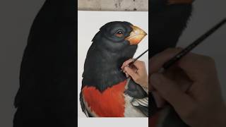 Greg quotCRAOLAquot Simkins paints a Grosbeak in his painting quotSoda Popquot [upl. by Hime]