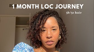 Starter Locs on 3b3c hair  1 month loc journey  comb coil starter locs [upl. by Ened]