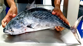 giant sea tuna fish cutting skills amazing Skipjack Tuna Cutting Skill Tuna Cutting Under One Minute [upl. by Hemetaf35]