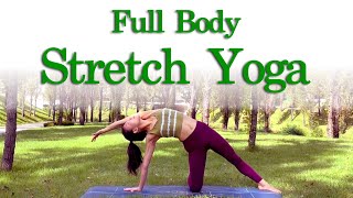 20 MIN  FULLBODY STRETCH YOGA  VINYASA  FEEL GOOD YOGA [upl. by Nesnar]