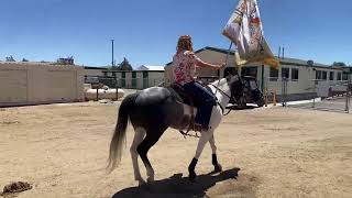 2024 RENO RODEO Live  Midday [upl. by Ahsiena]